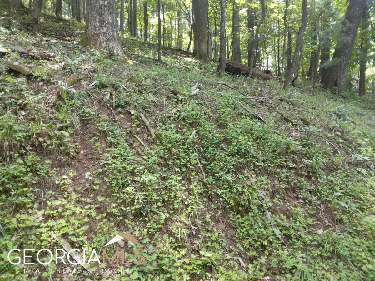 residential lot for sale at M213 Walnut Ridge M213, Ellijay, GA 30540 — photo 3