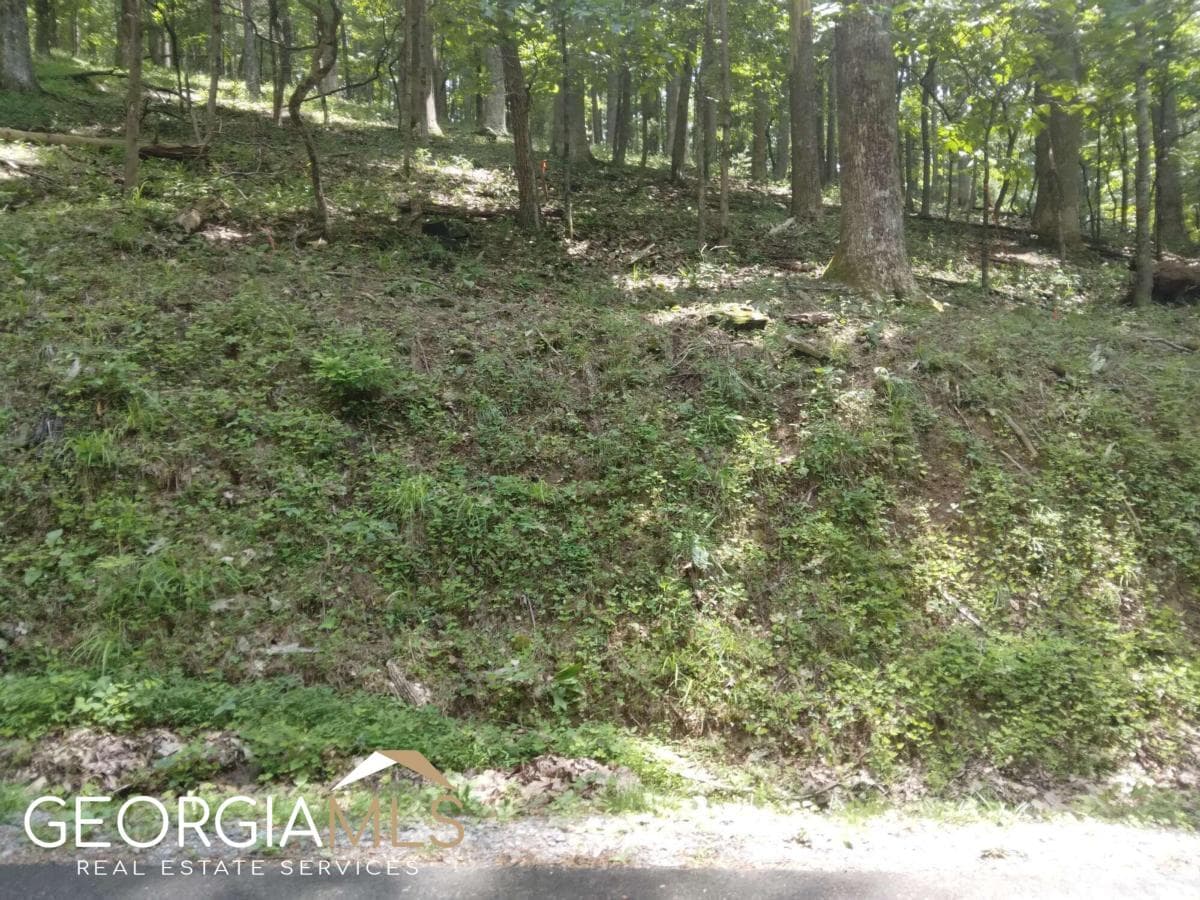 residential lot for sale at M213 Walnut Ridge M213, Ellijay, GA 30540 — photo 1 of 9