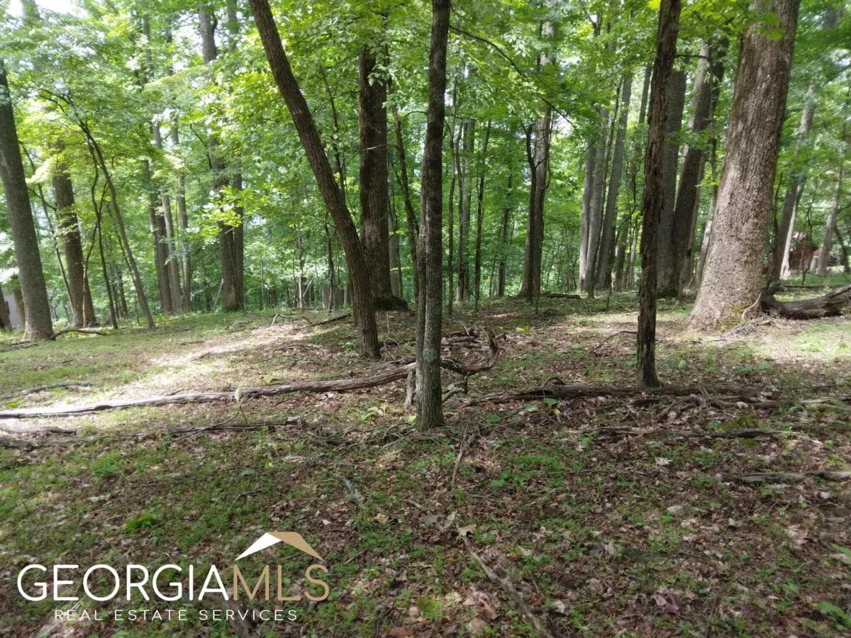 residential lot for sale at M213 Walnut Ridge M213, Ellijay, GA 30540 — photo 5