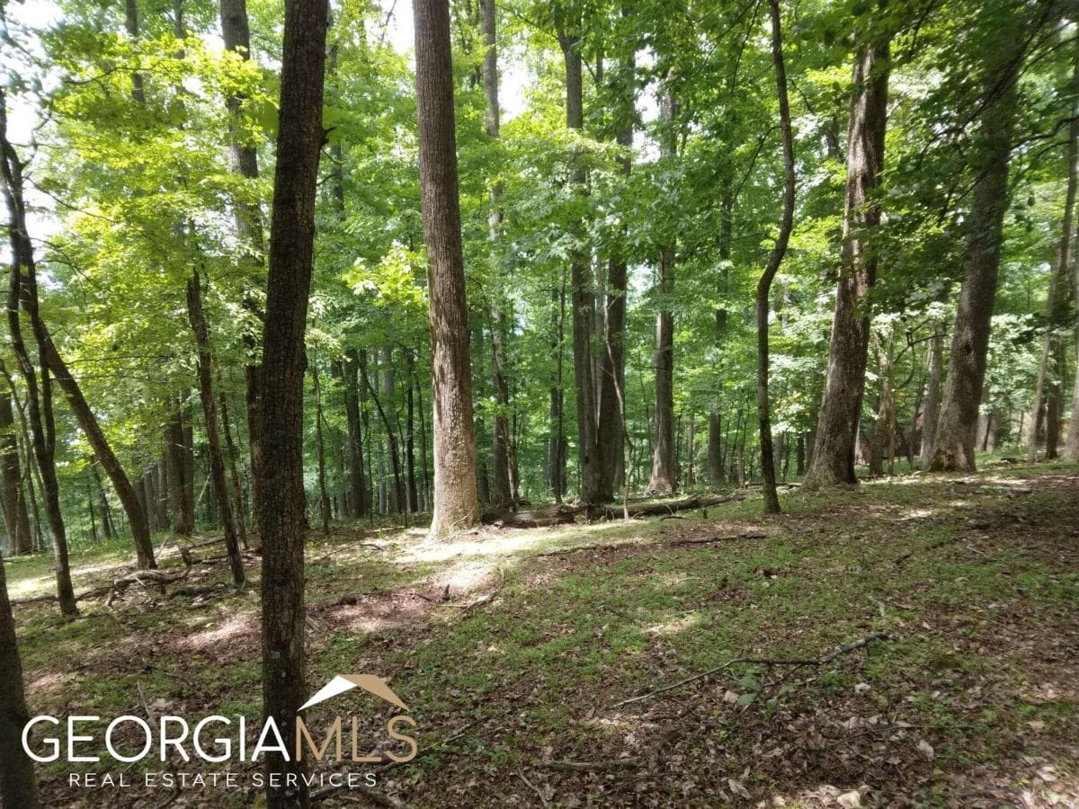 residential lot for sale at M213 Walnut Ridge M213, Ellijay, GA 30540 — photo 9