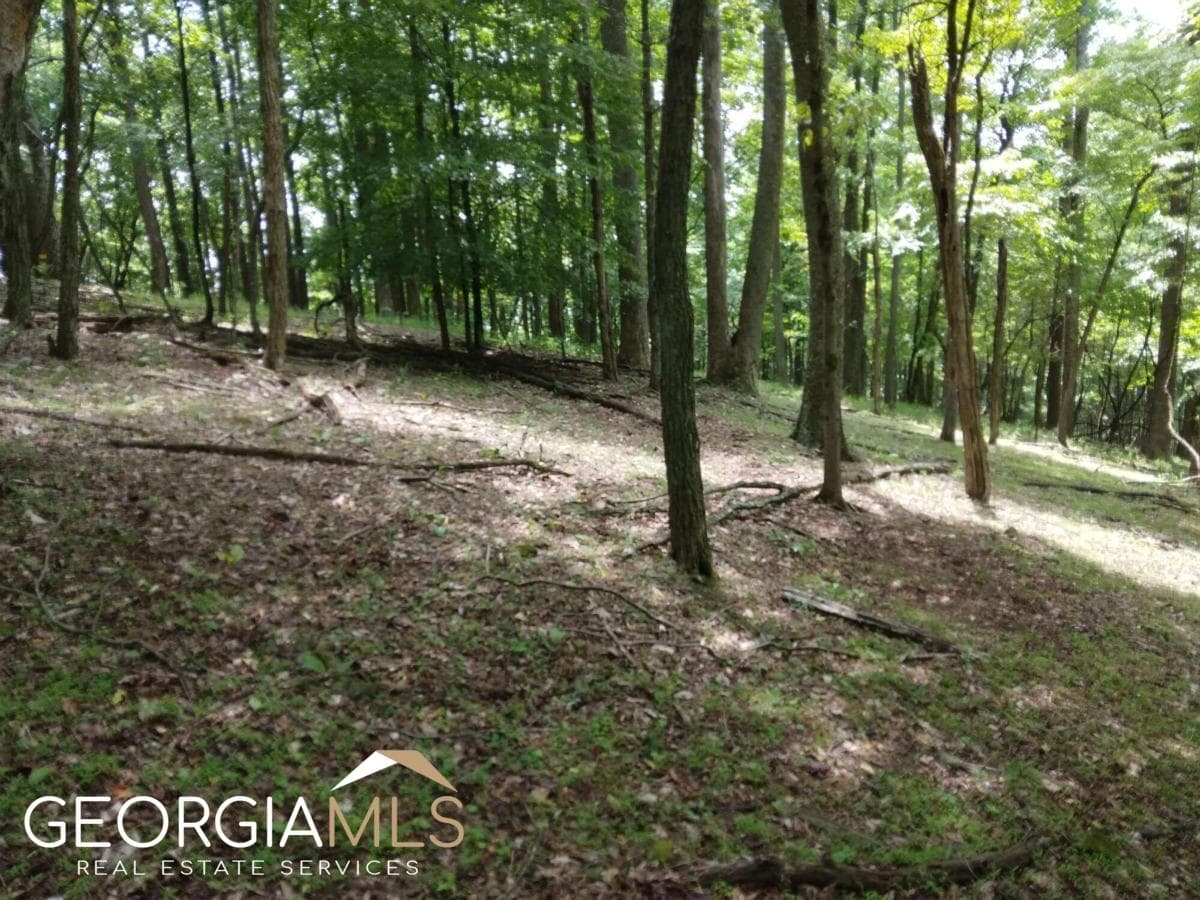 residential lot for sale at M213 Walnut Ridge M213, Ellijay, GA 30540 — photo 4