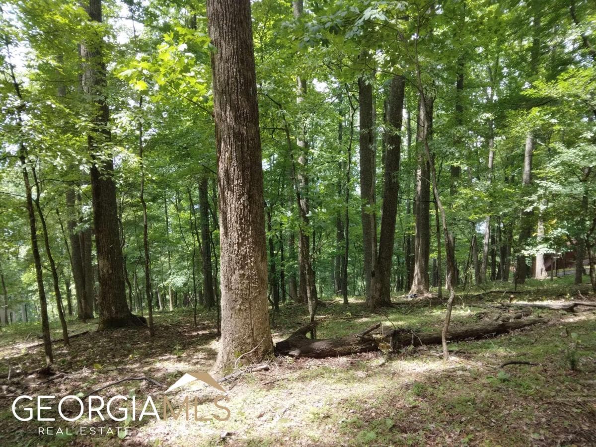 residential lot for sale at M213 Walnut Ridge M213, Ellijay, GA 30540 — photo 8