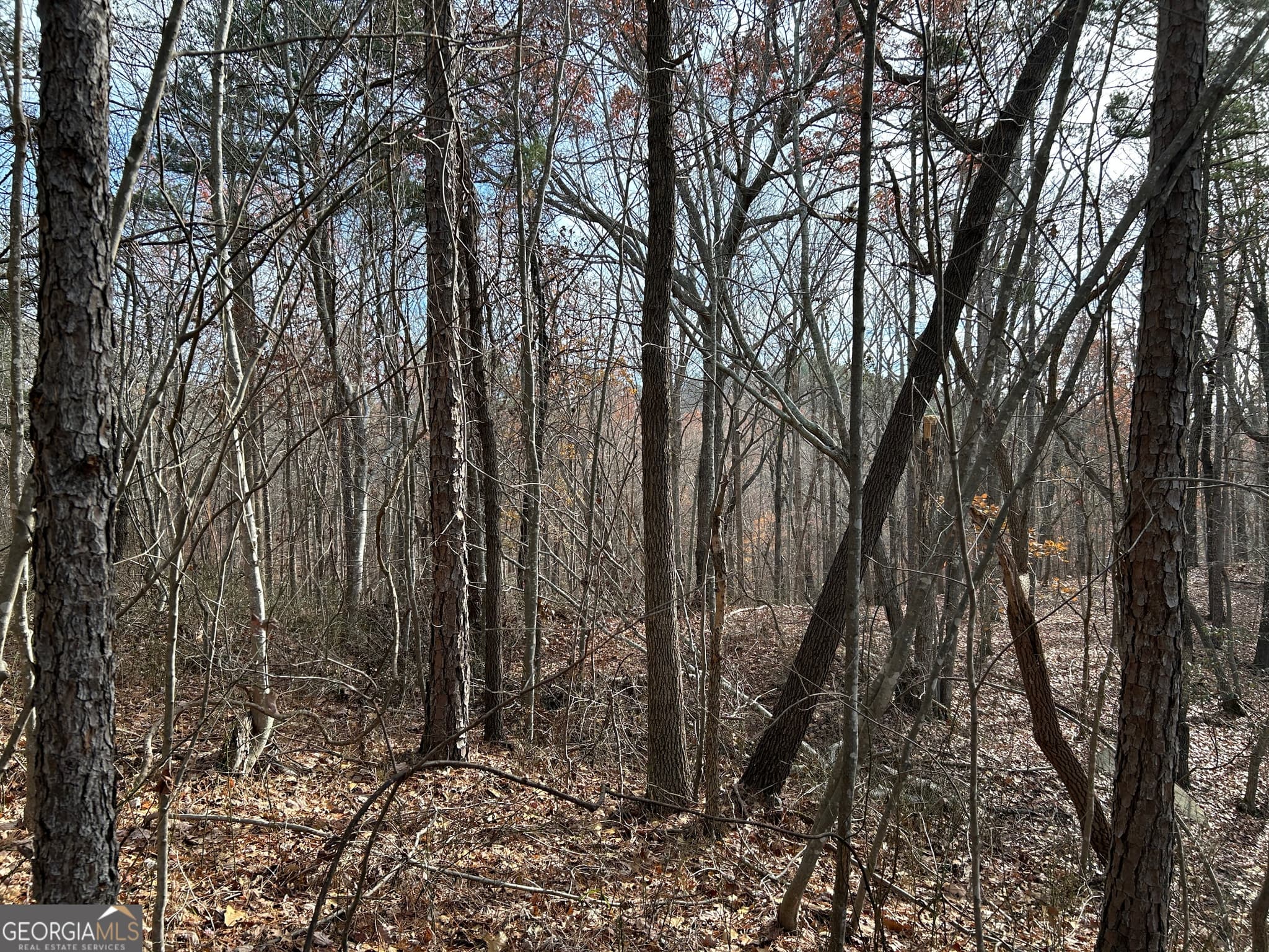 unimproved land for sale at 0 Highway 105, Baldwin, GA 30511 — photo 6