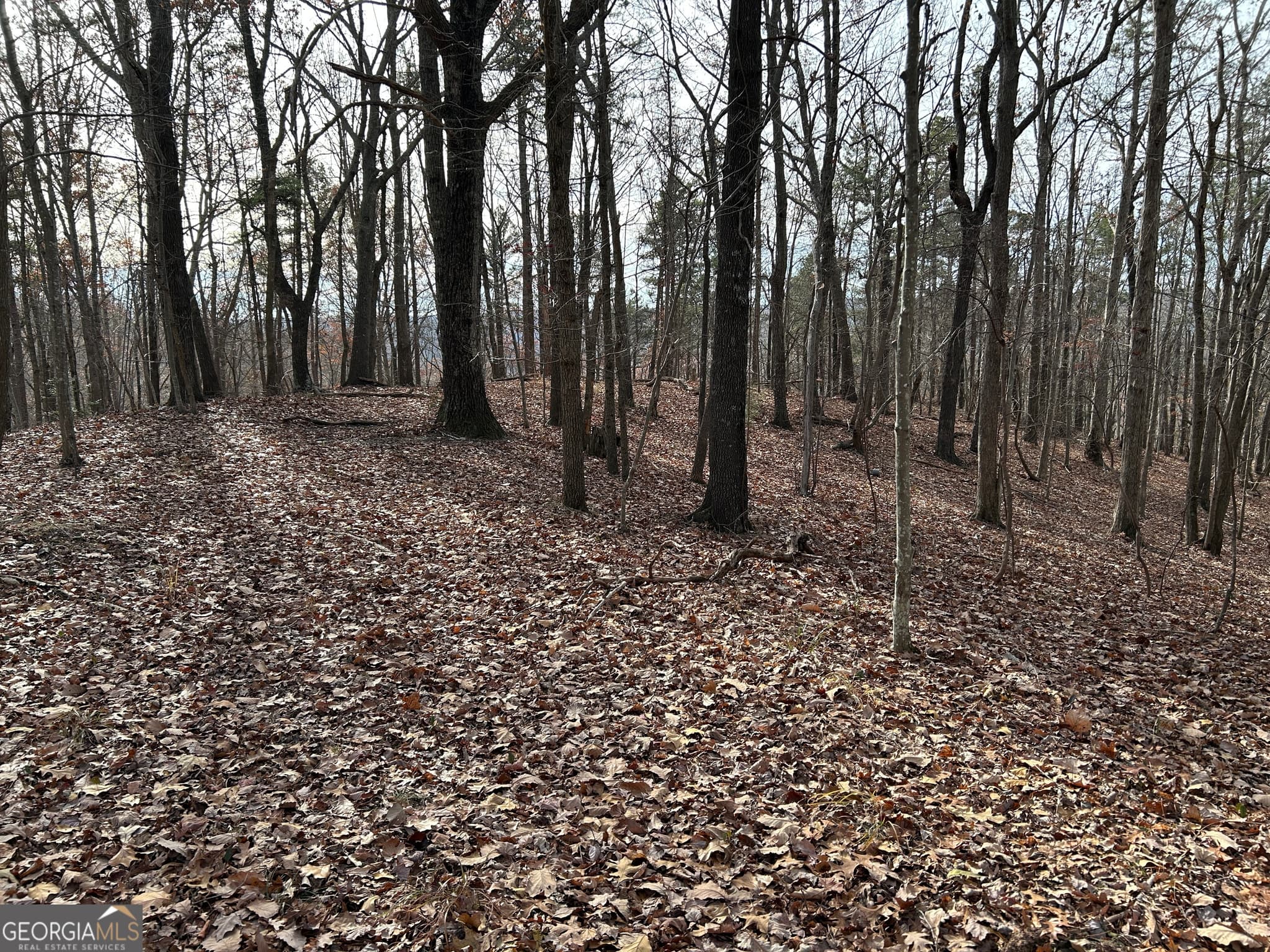 unimproved land for sale at 0 Highway 105, Baldwin, GA 30511 — photo 7