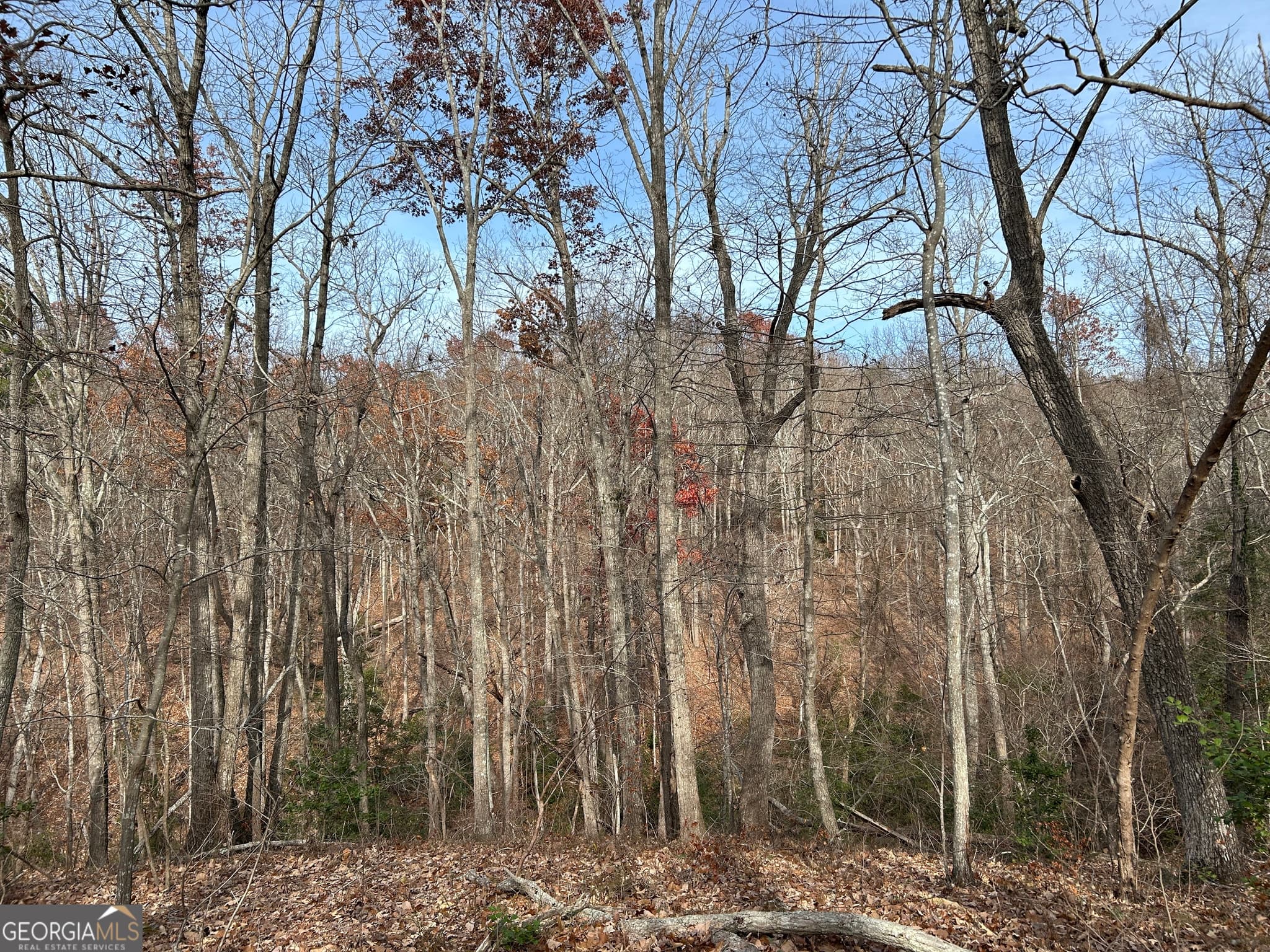 unimproved land for sale at 0 Highway 105, Baldwin, GA 30511 — photo 1 of 37