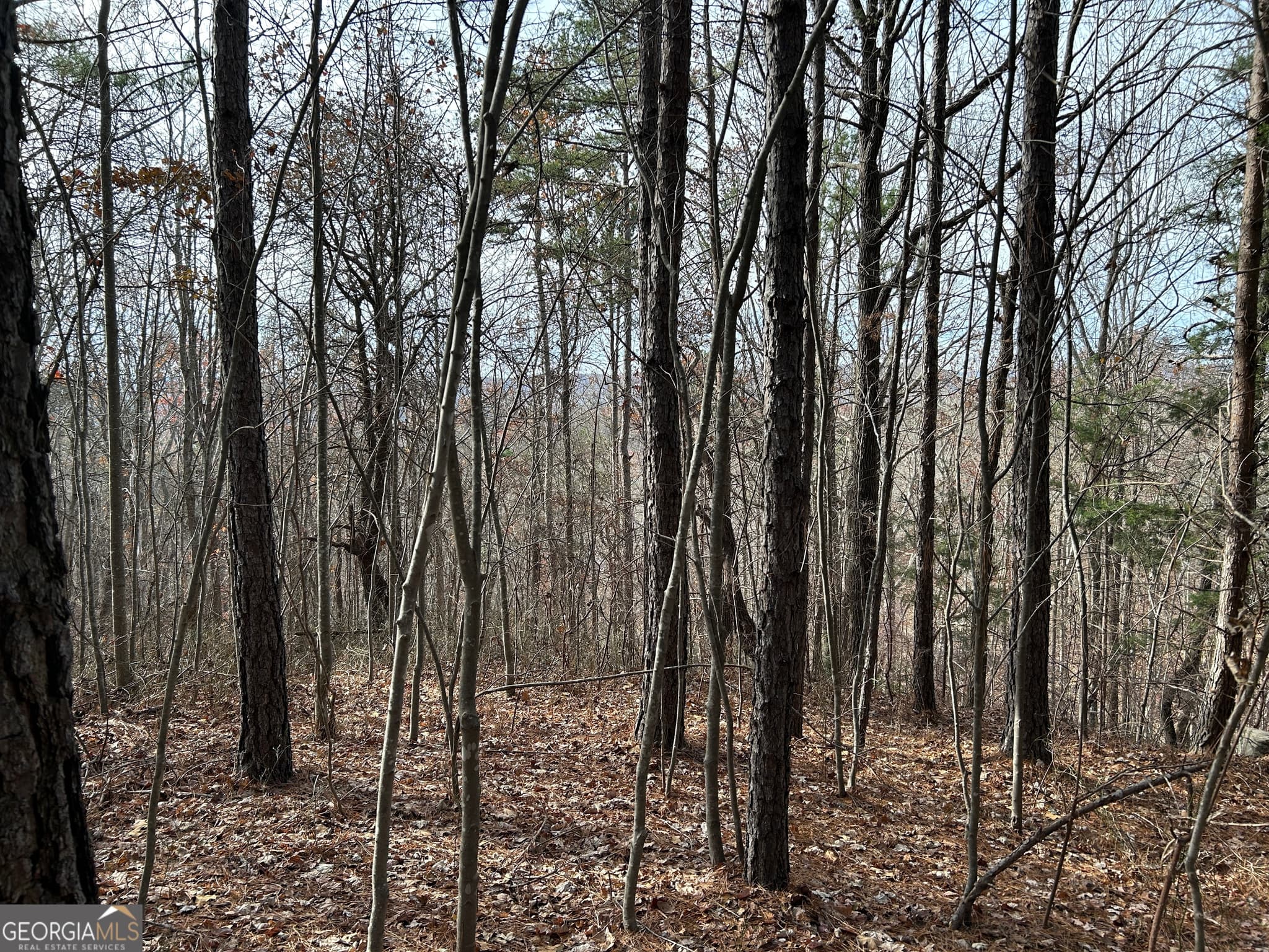 unimproved land for sale at 0 Highway 105, Baldwin, GA 30511 — photo 5