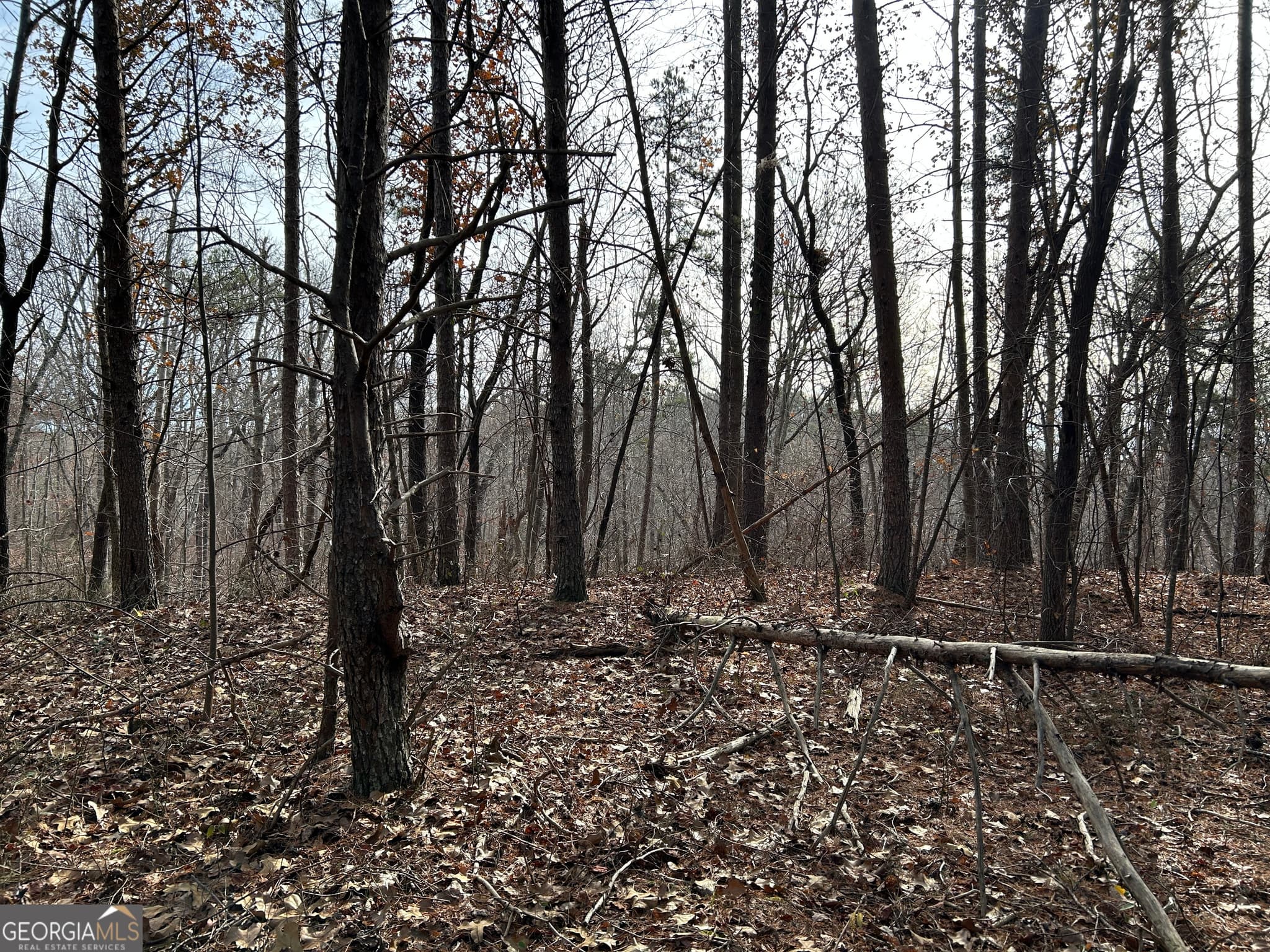 unimproved land for sale at 0 Highway 105, Baldwin, GA 30511 — photo 9