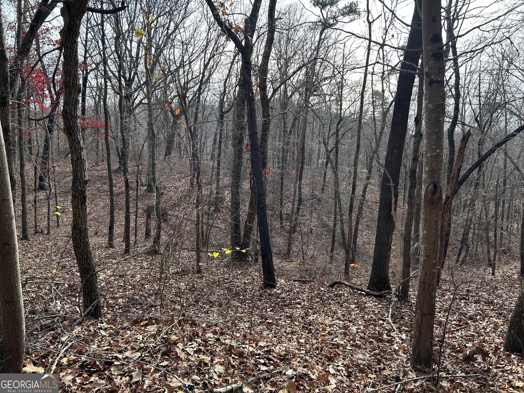 unimproved land for sale at 0 Highway 105, Baldwin, GA 30511 — photo 10