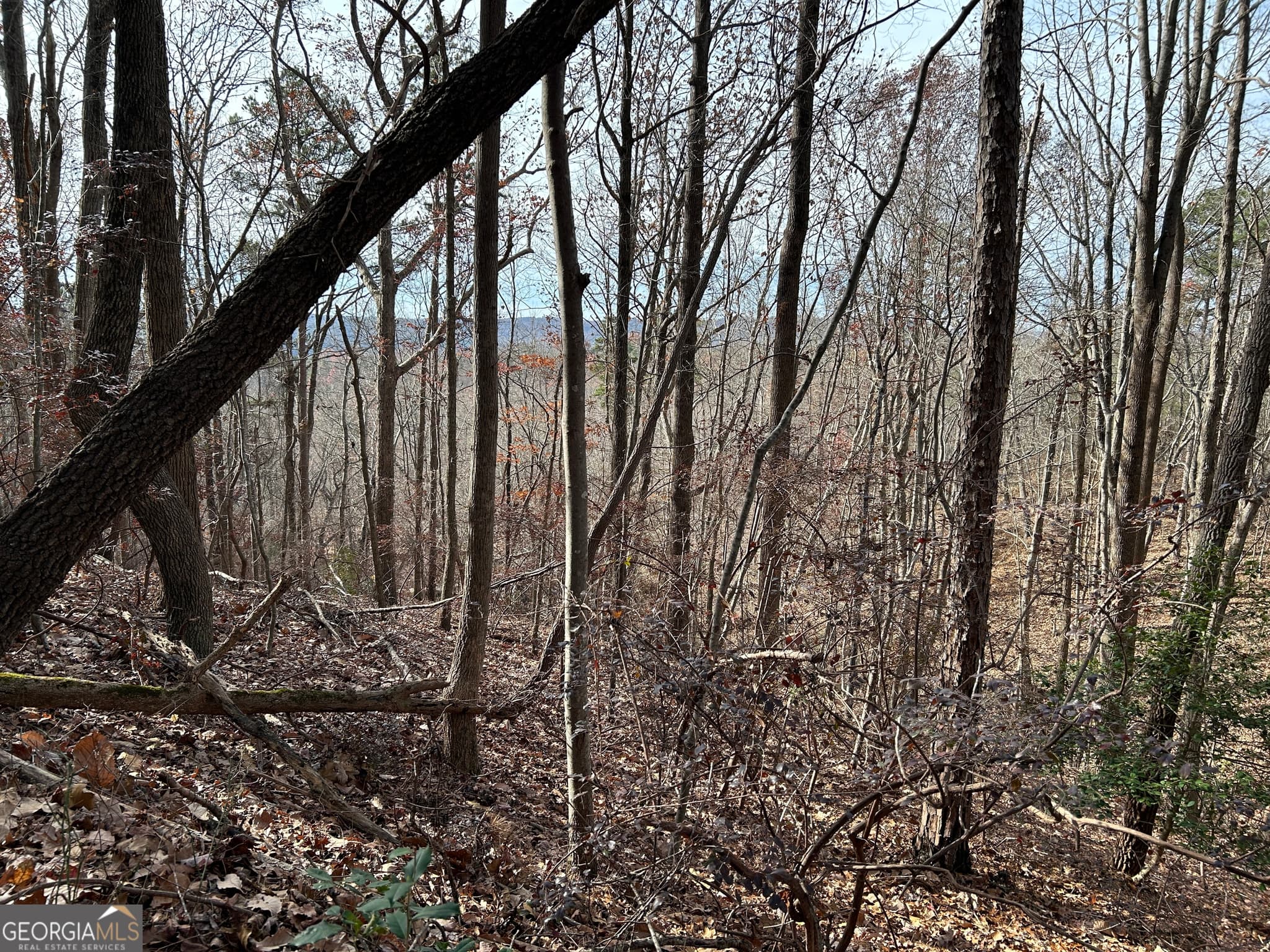 unimproved land for sale at 0 Highway 105, Baldwin, GA 30511 — photo 4