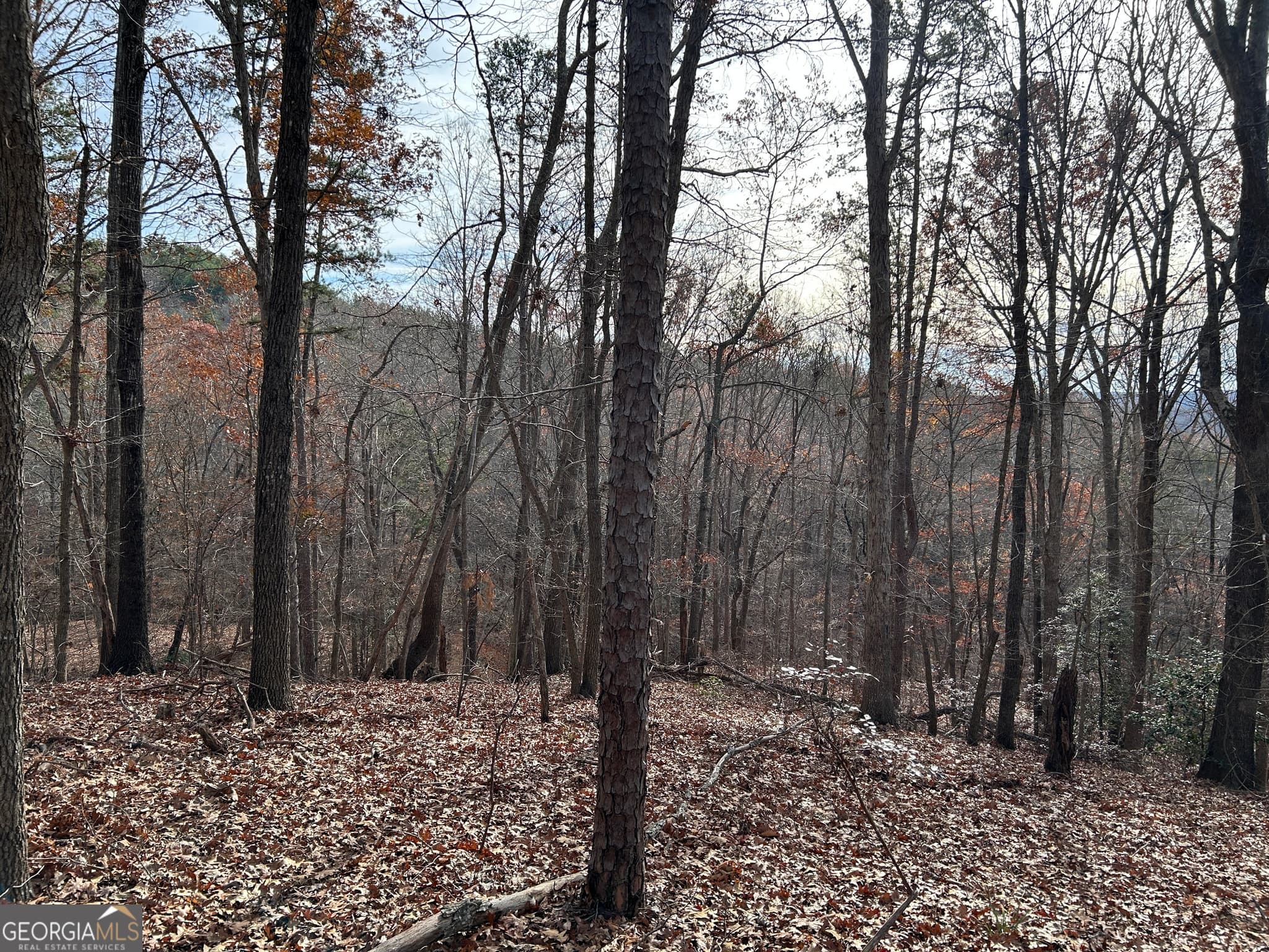 unimproved land for sale at 0 Highway 105, Baldwin, GA 30511 — photo 8