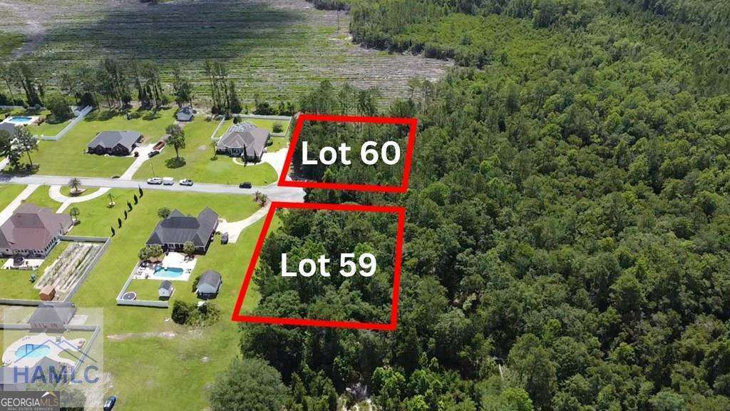 residential lot for sale at 113 Vixenhill Drive, Jesup, GA 31546 — photo 6