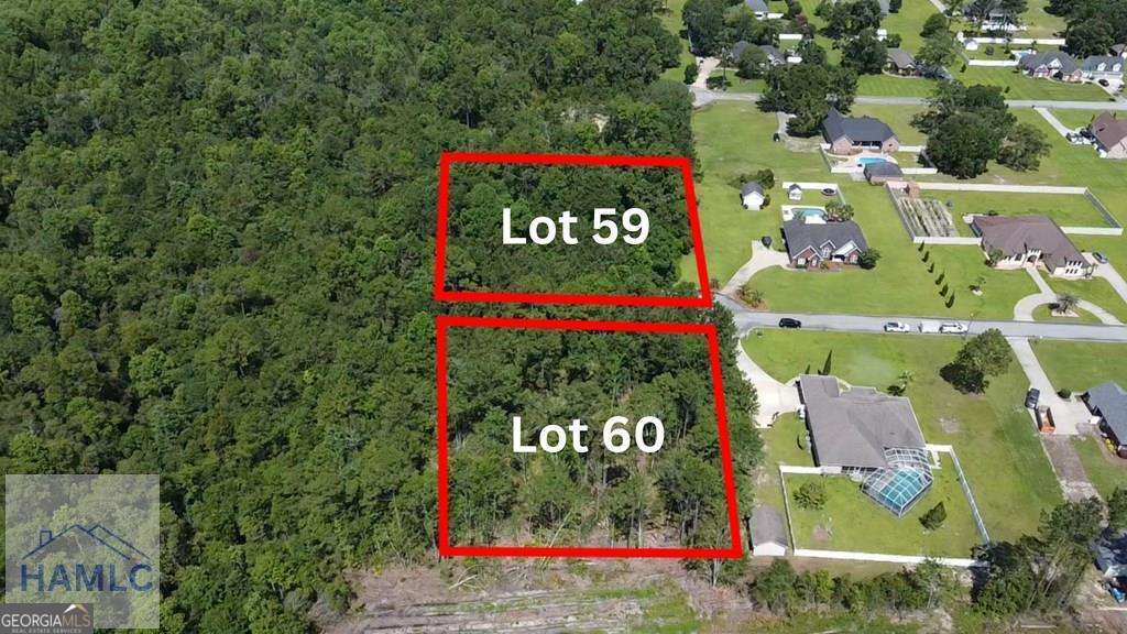 residential lot for sale at 113 Vixenhill Drive, Jesup, GA 31546 — photo 3