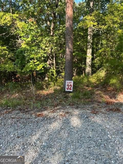 residential lot for sale at LT 32 Buck Creek Road, Ellijay, GA 30540 — photo 2