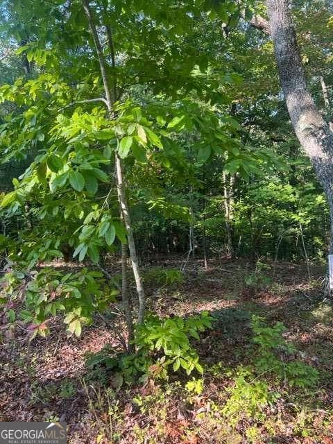 residential lot for sale at LT 32 Buck Creek Road, Ellijay, GA 30540 — photo 6