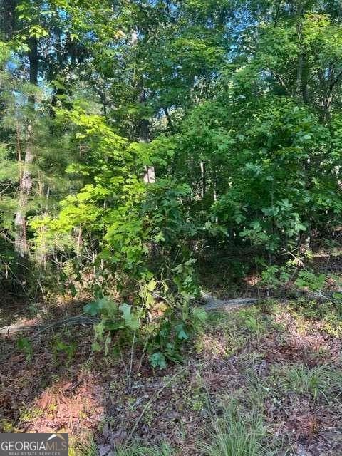 residential lot for sale at LT 32 Buck Creek Road, Ellijay, GA 30540 — photo 7