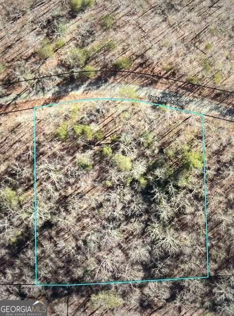 residential lot for sale at LT 32 Buck Creek Road, Ellijay, GA 30540 — photo 3
