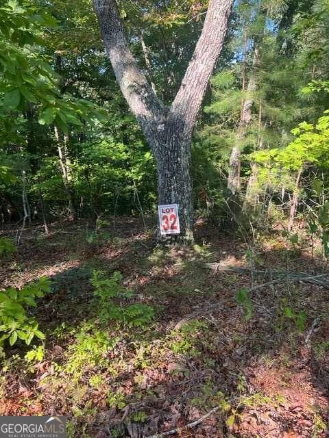 residential lot for sale at LT 32 Buck Creek Road, Ellijay, GA 30540 — photo 5