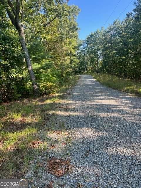 residential lot for sale at LT 32 Buck Creek Road, Ellijay, GA 30540 — photo 9