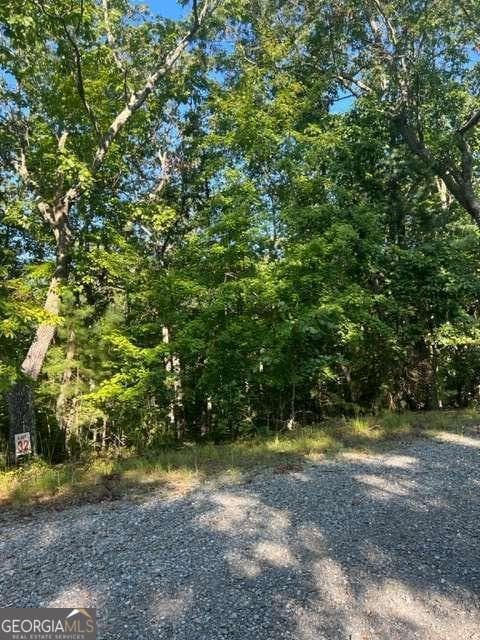 residential lot for sale at LT 32 Buck Creek Road, Ellijay, GA 30540 — photo 10