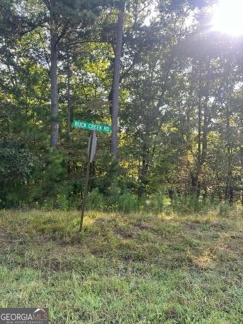 residential lot for sale at LT 32 Buck Creek Road, Ellijay, GA 30540 — photo 4