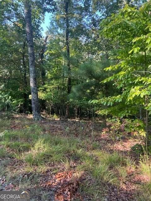 residential lot for sale at LT 32 Buck Creek Road, Ellijay, GA 30540 — photo 8