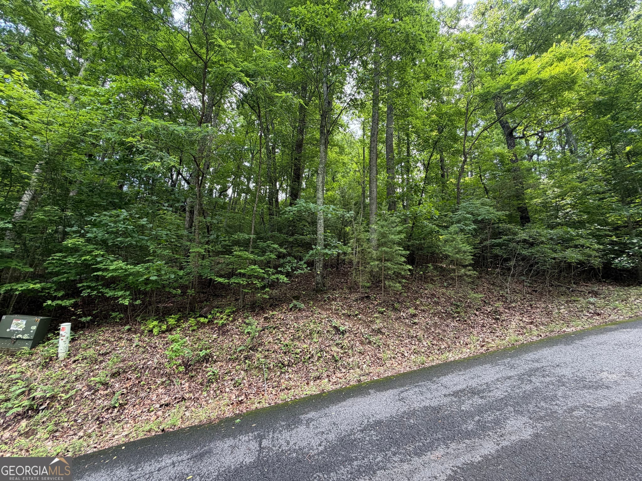 residential lot for sale at LOT 7 Mill Ridge Road, Hiawassee, GA 30546 — photo 3
