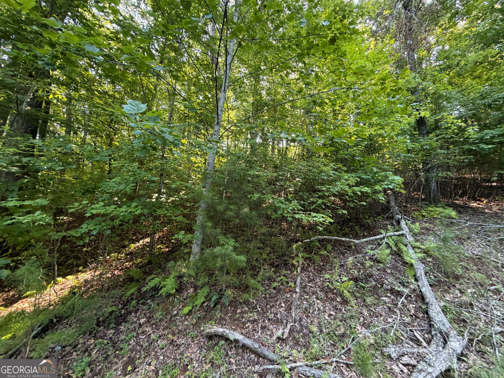residential lot for sale at LOT 7 Mill Ridge Road, Hiawassee, GA 30546 — photo 5