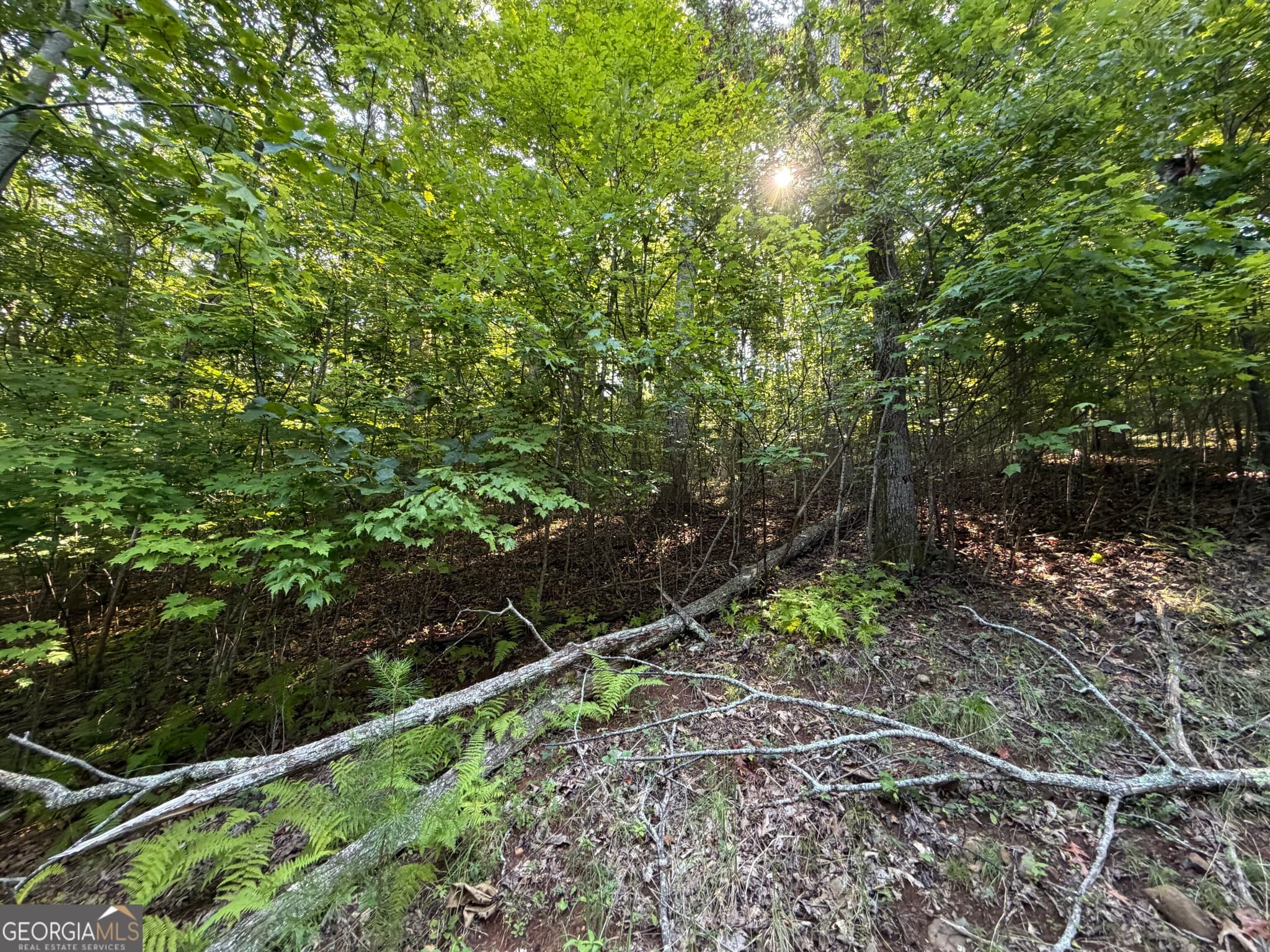 residential lot for sale at LOT 7 Mill Ridge Road, Hiawassee, GA 30546 — photo 4