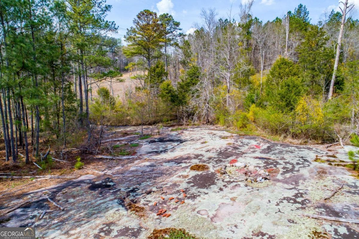 estate lot for sale at 3940 Clinton Court, Villa Rica, GA 30180 — photo 6