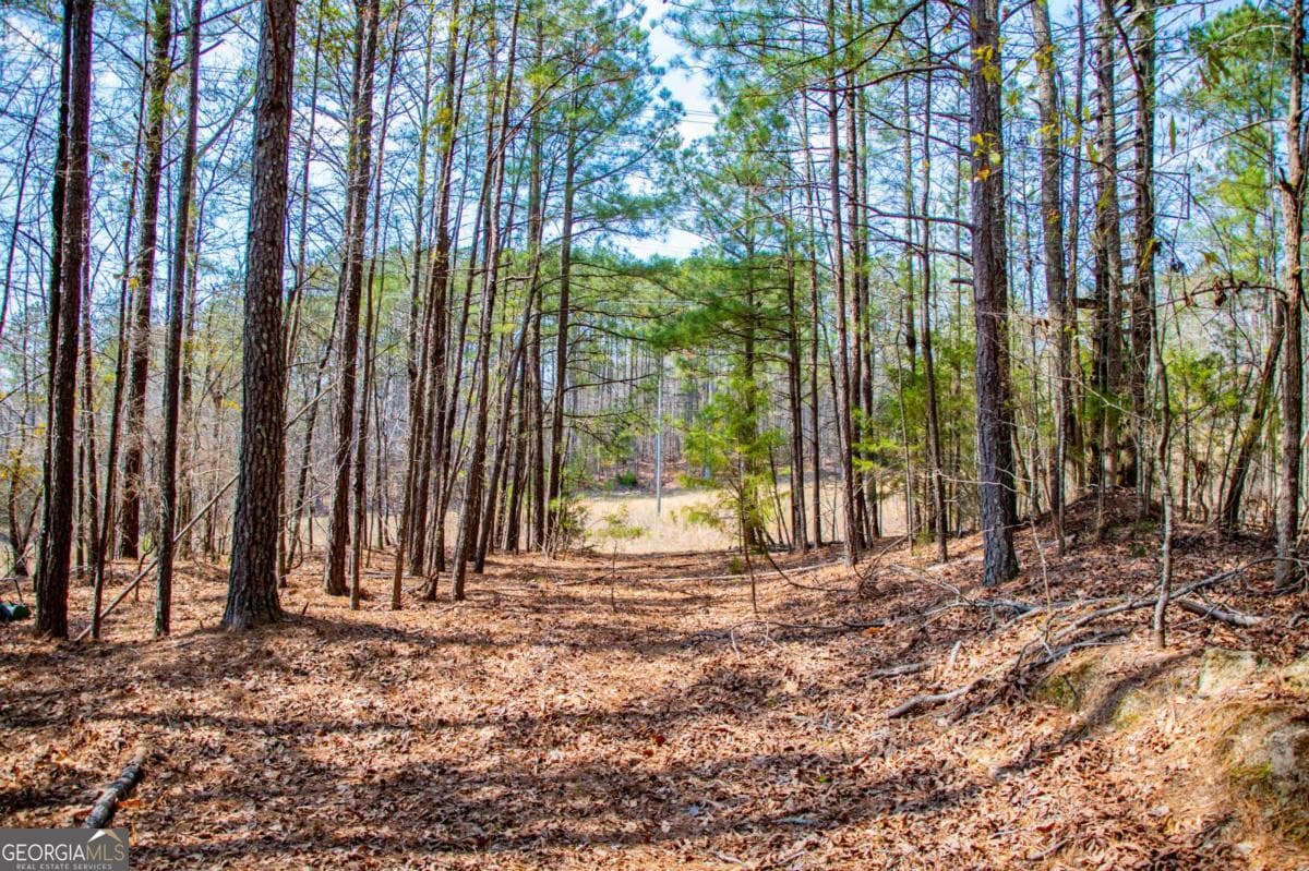 estate lot for sale at 3940 Clinton Court, Villa Rica, GA 30180 — photo 1 of 19