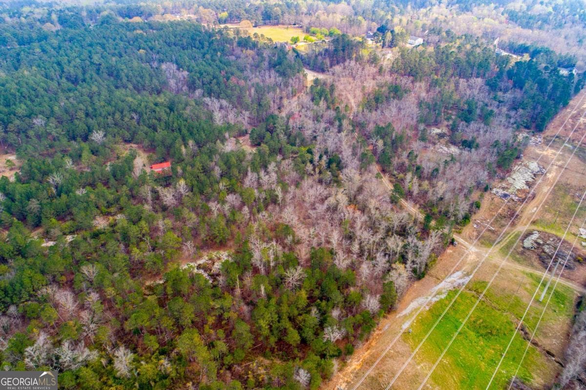 estate lot for sale at 3940 Clinton Court, Villa Rica, GA 30180 — photo 9