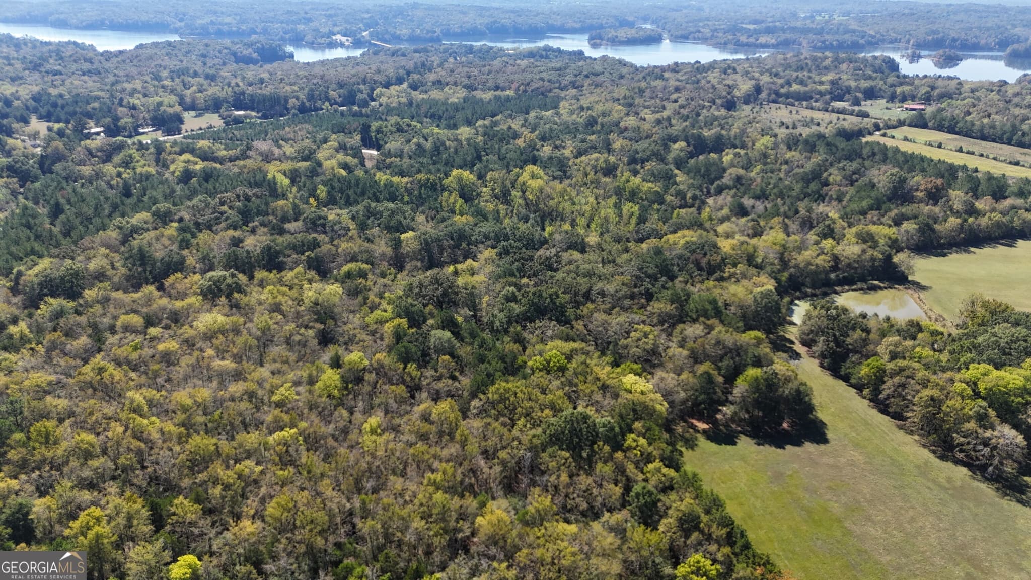 agriculture for sale at 0 Pearl Mill Road, Elberton, GA 30635 — photo 6