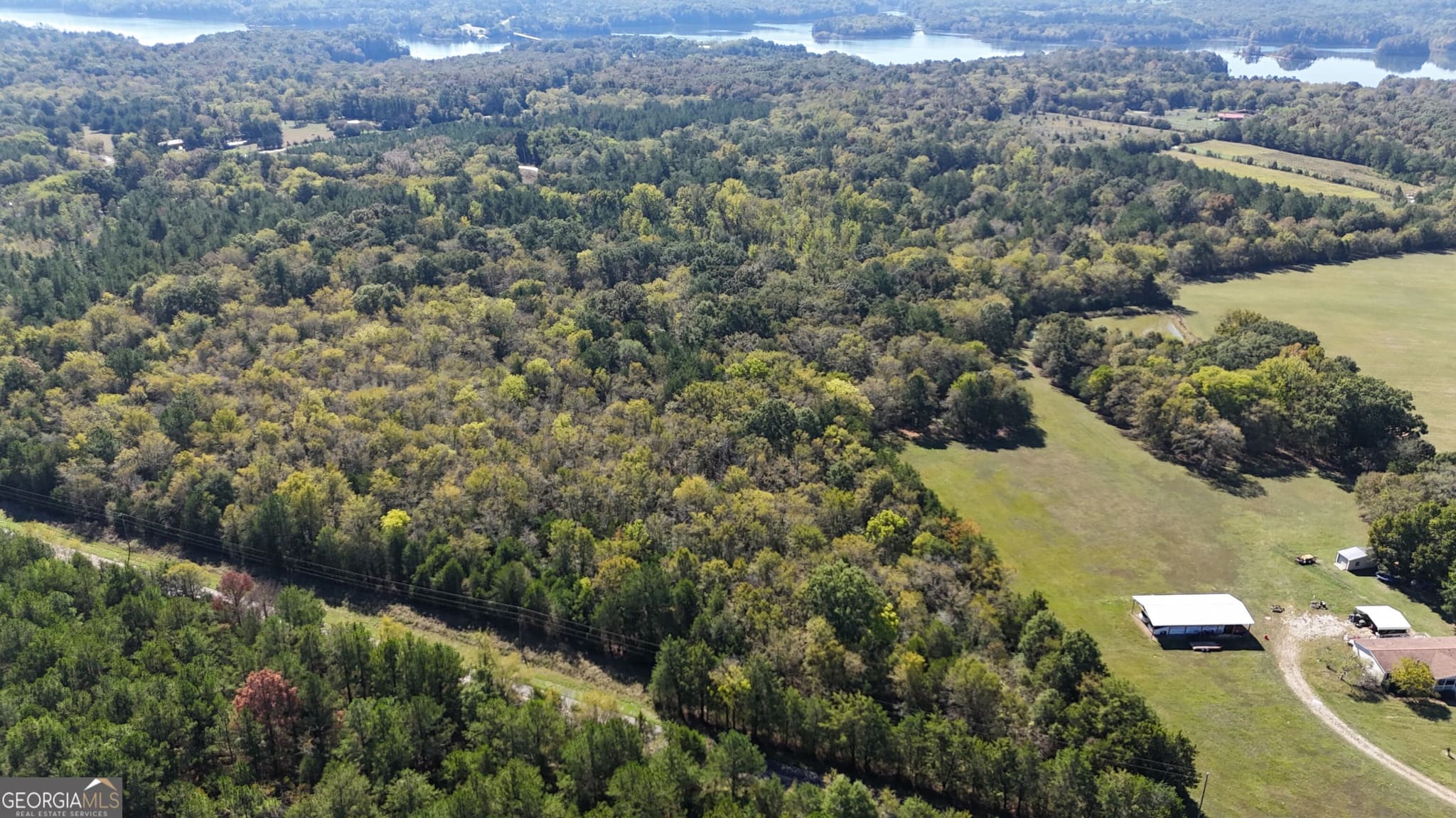 agriculture for sale at 0 Pearl Mill Road, Elberton, GA 30635 — photo 7