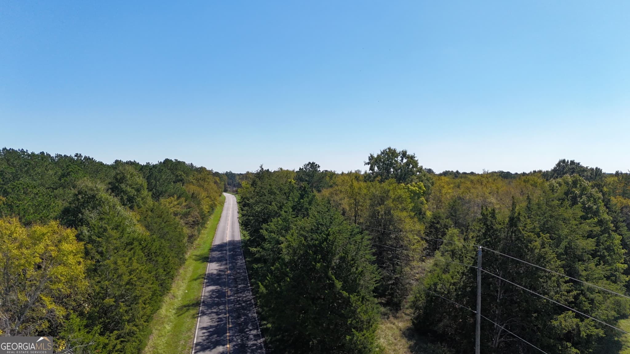agriculture for sale at 0 Pearl Mill Road, Elberton, GA 30635 — photo 3
