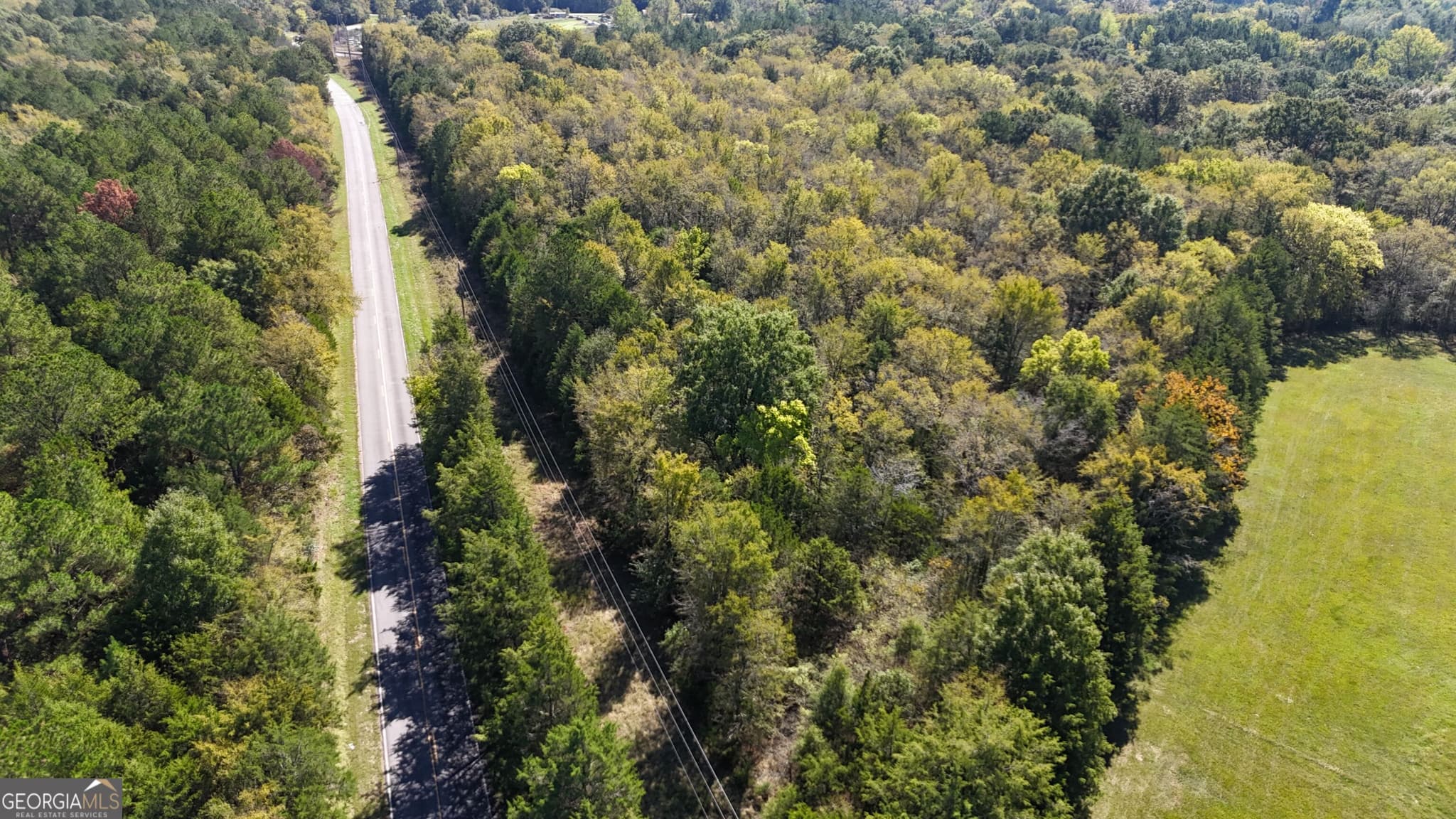 agriculture for sale at 0 Pearl Mill Road, Elberton, GA 30635 — photo 5