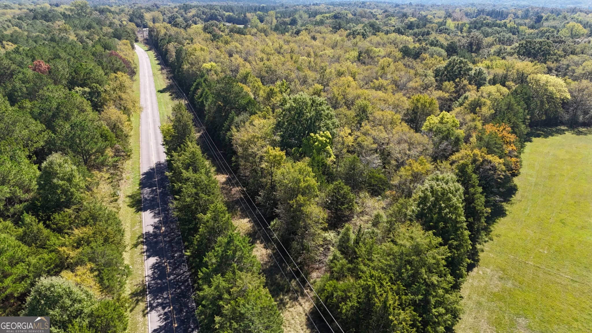 agriculture for sale at 0 Pearl Mill Road, Elberton, GA 30635 — photo 4