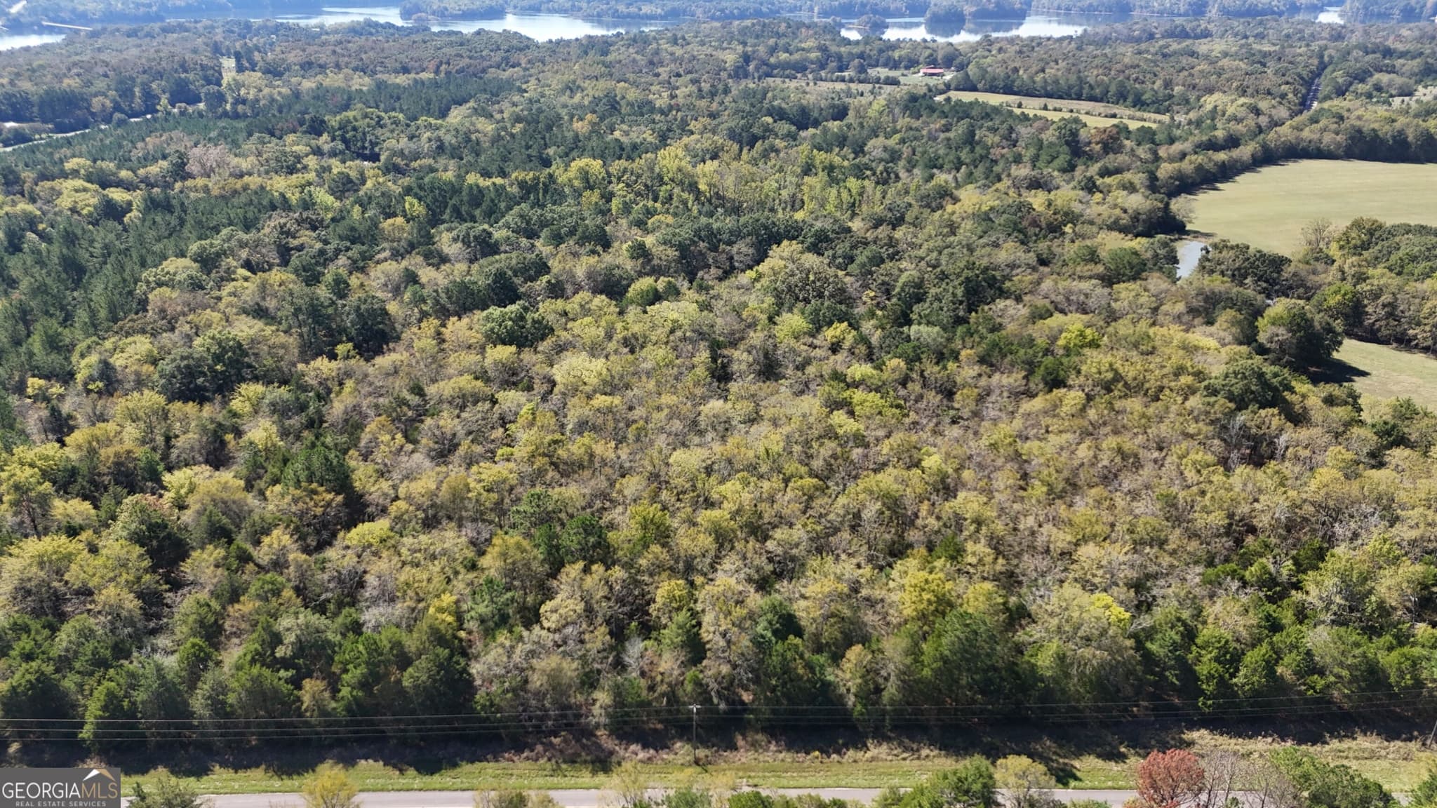 agriculture for sale at 0 Pearl Mill Road, Elberton, GA 30635 — photo 8