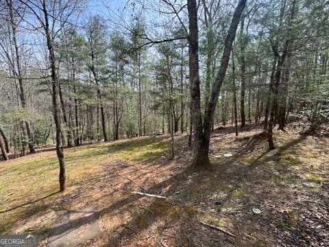 2 bedroom, 2 bathroom single family residence for sale at 22 & 26 A O Lane, Morganton, GA 30560 — photo 10