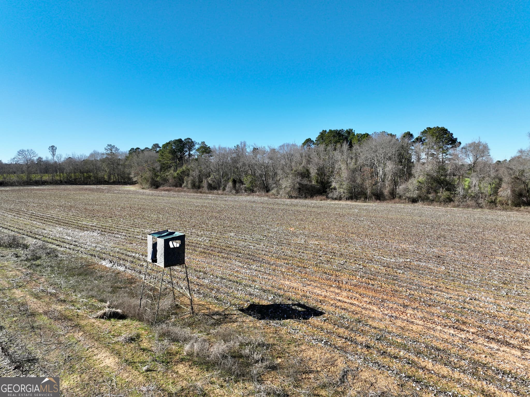 agriculture for sale at 0 Jenkins Farm Road, Byromville, GA 31007 — photo 6