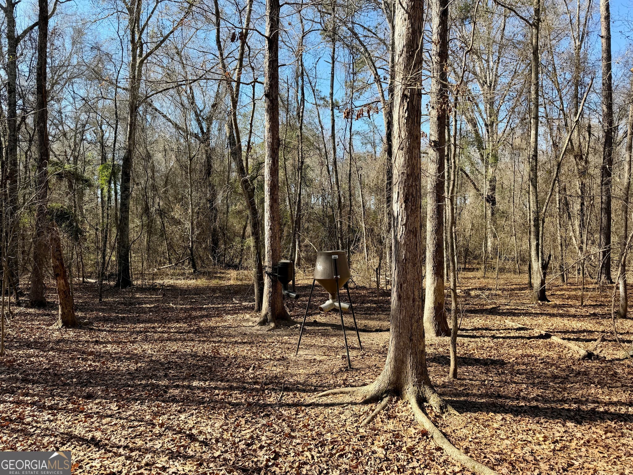 agriculture for sale at 0 Jenkins Farm Road, Byromville, GA 31007 — photo 7