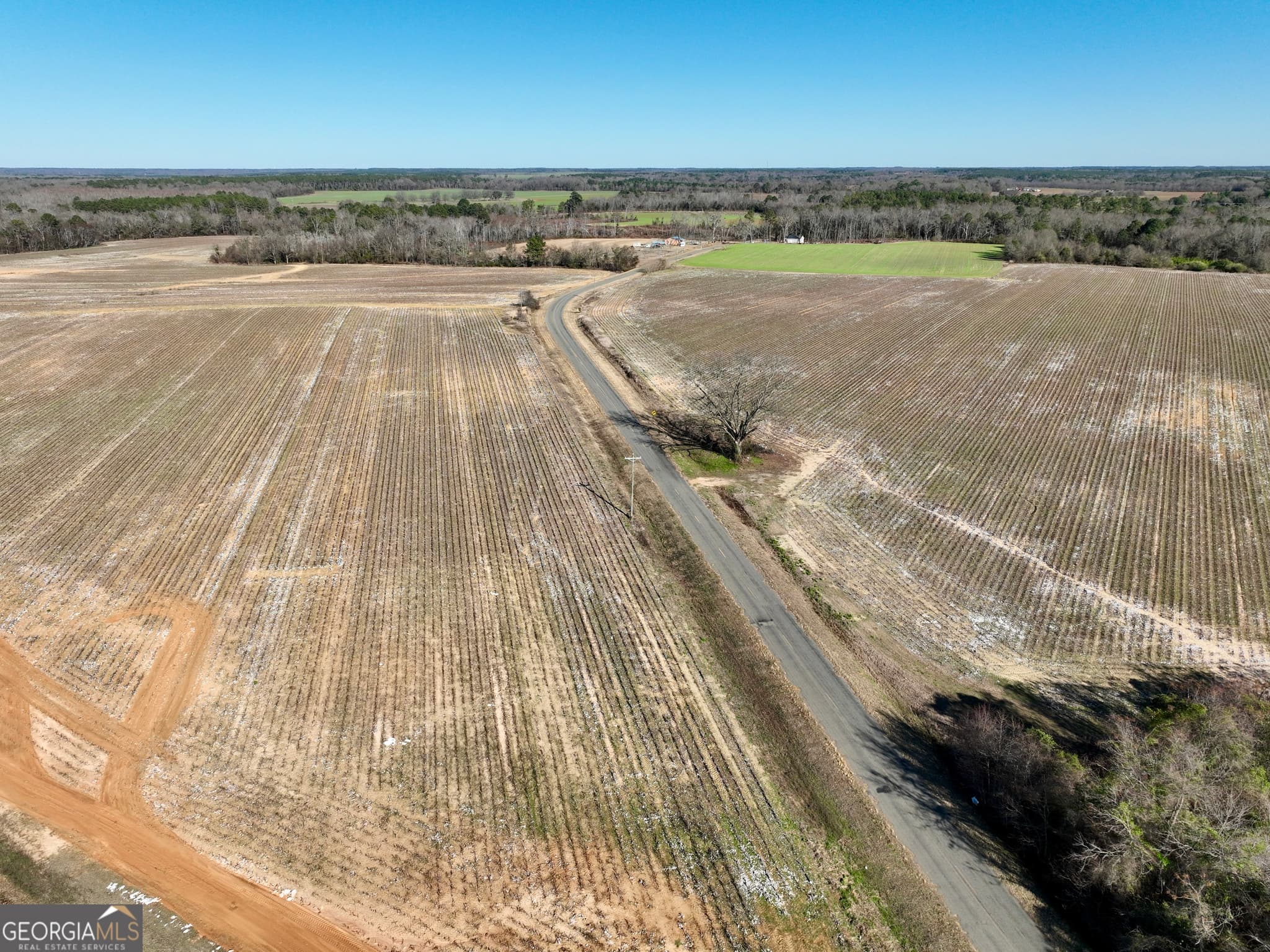 agriculture for sale at 0 Jenkins Farm Road, Byromville, GA 31007 — photo 5