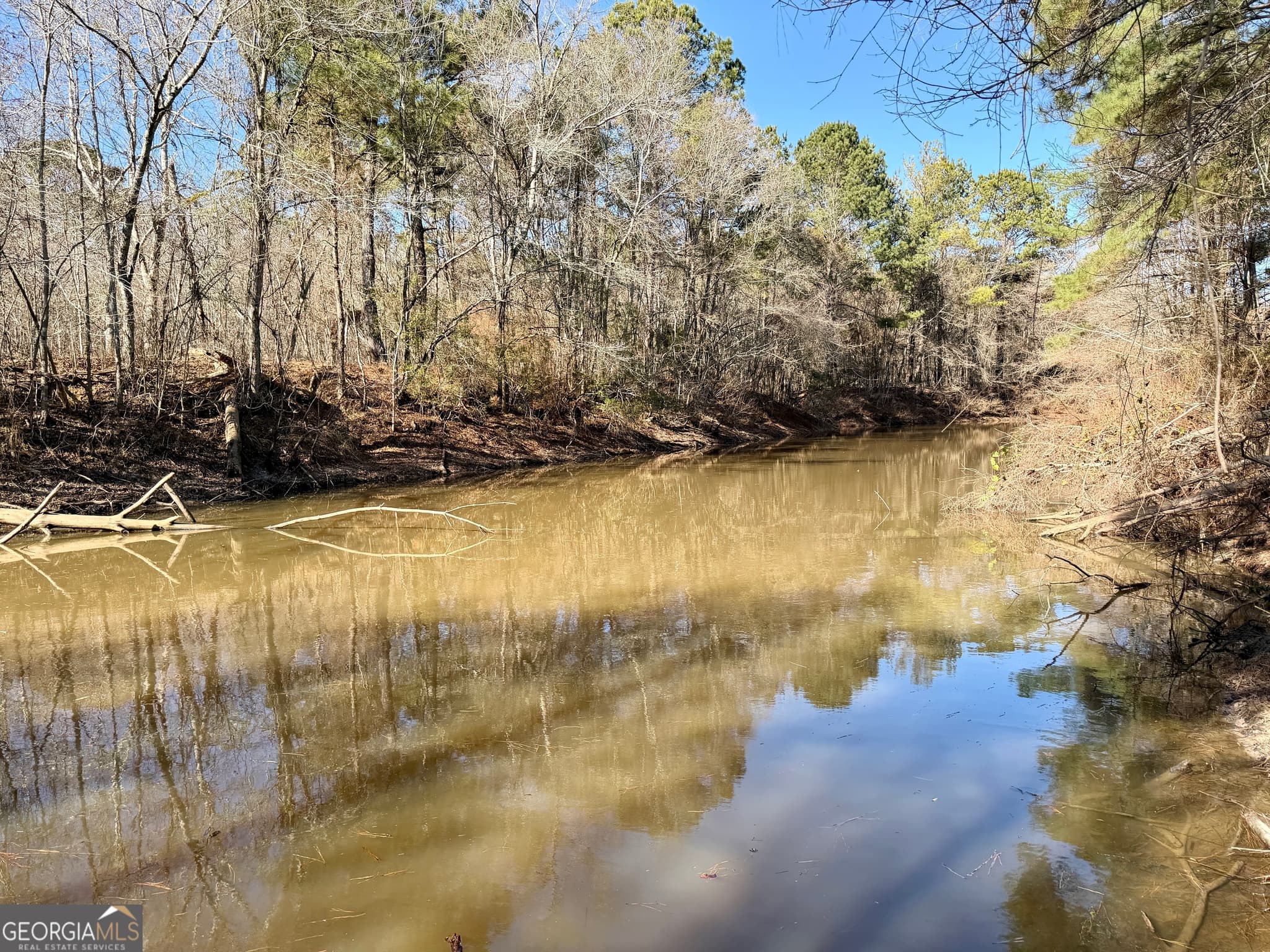 agriculture for sale at 0 Jenkins Farm Road, Byromville, GA 31007 — photo 4