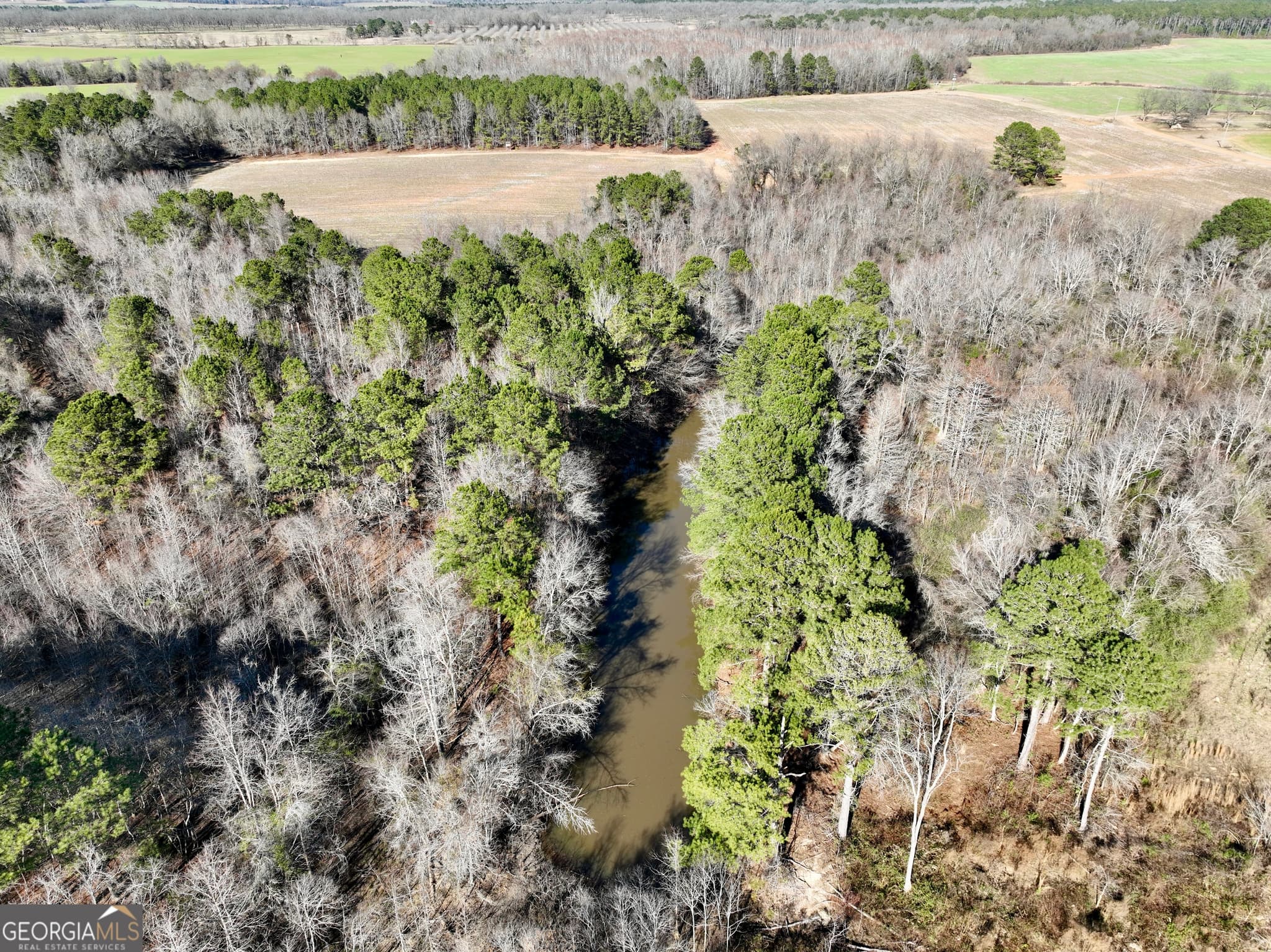 agriculture for sale at 0 Jenkins Farm Road, Byromville, GA 31007 — photo 8