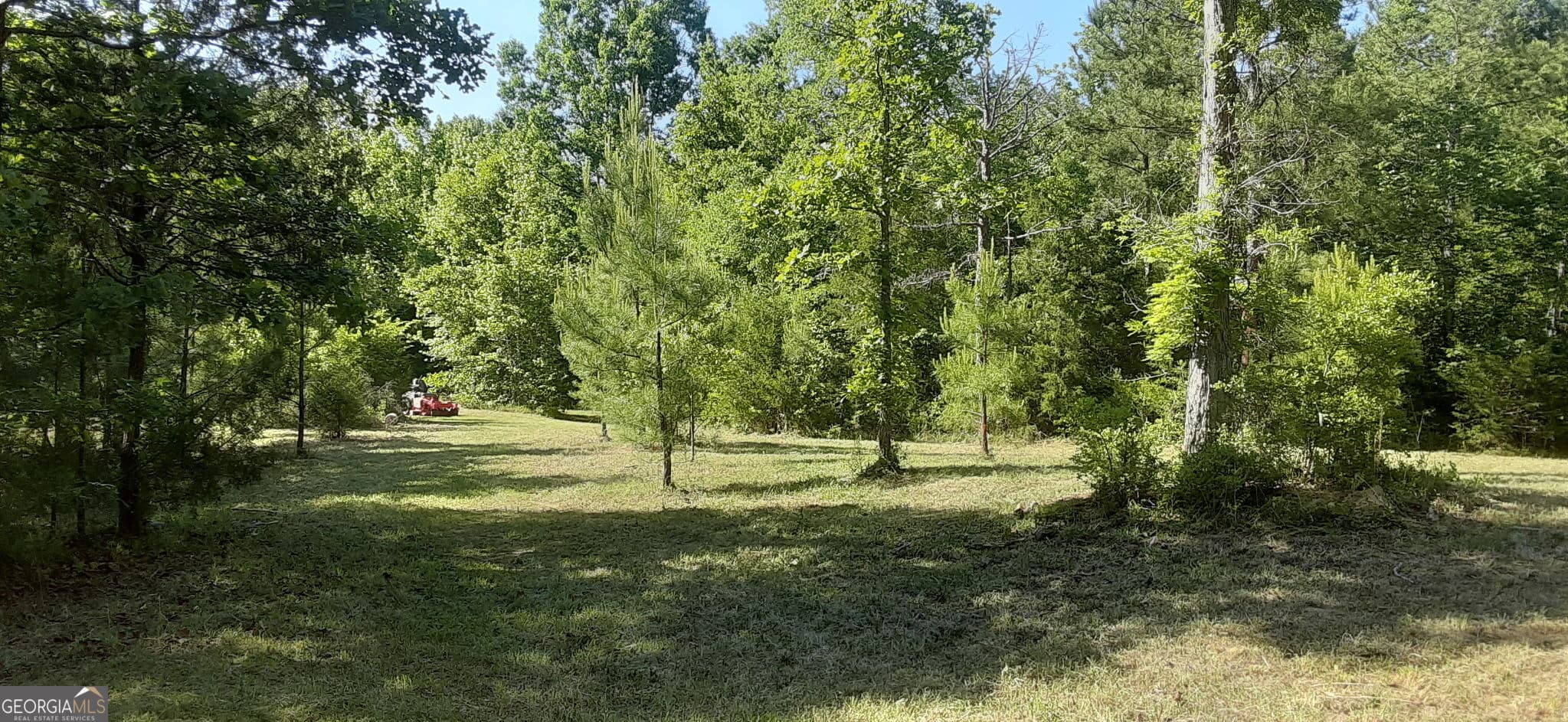 agriculture for sale at 0 Delhi Road, Tignall, GA 30668 — photo 3