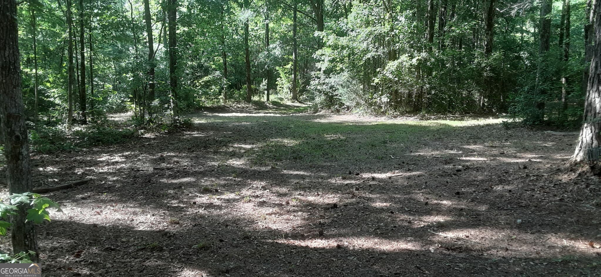 agriculture for sale at 0 Delhi Road, Tignall, GA 30668 — photo 5