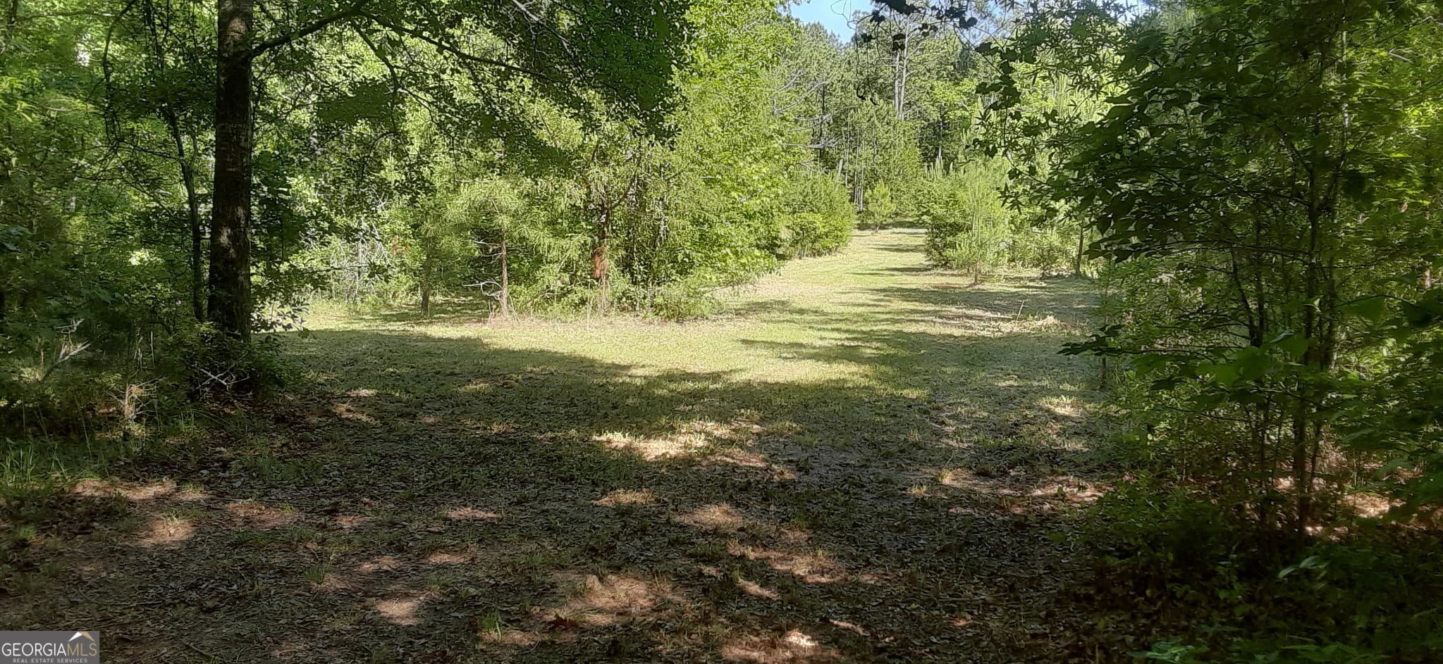 agriculture for sale at 0 Delhi Road, Tignall, GA 30668 — photo 4