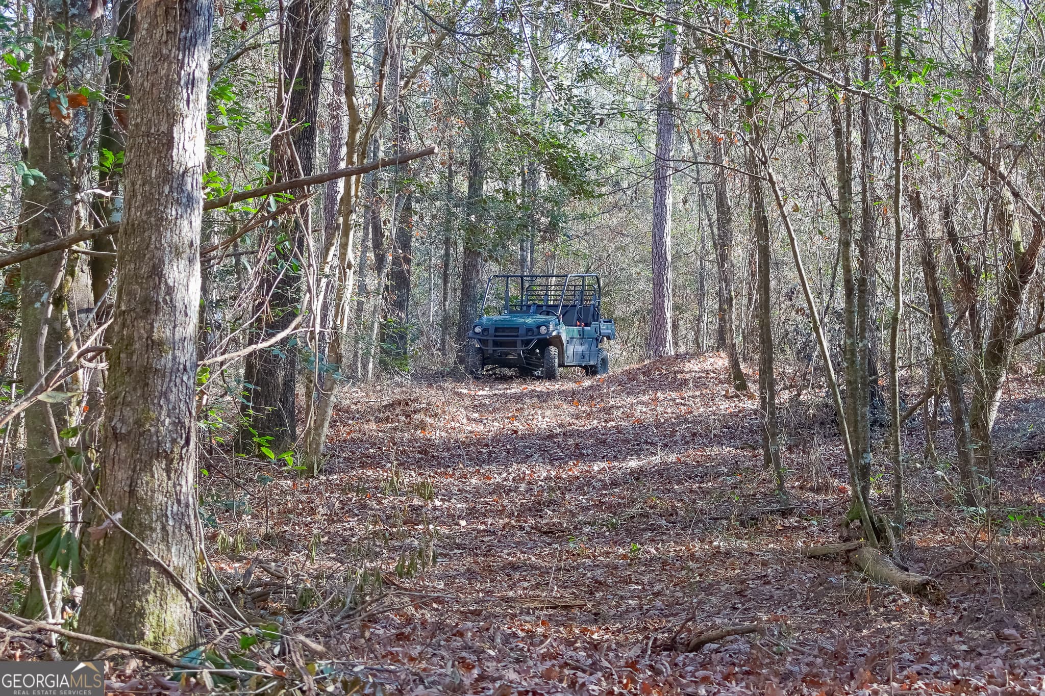 unimproved land for sale at 557 Limestone Road, Cochran, GA 31014 — photo 6