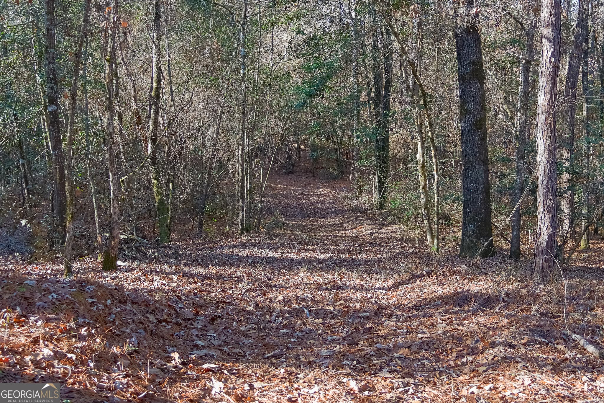 unimproved land for sale at 557 Limestone Road, Cochran, GA 31014 — photo 7