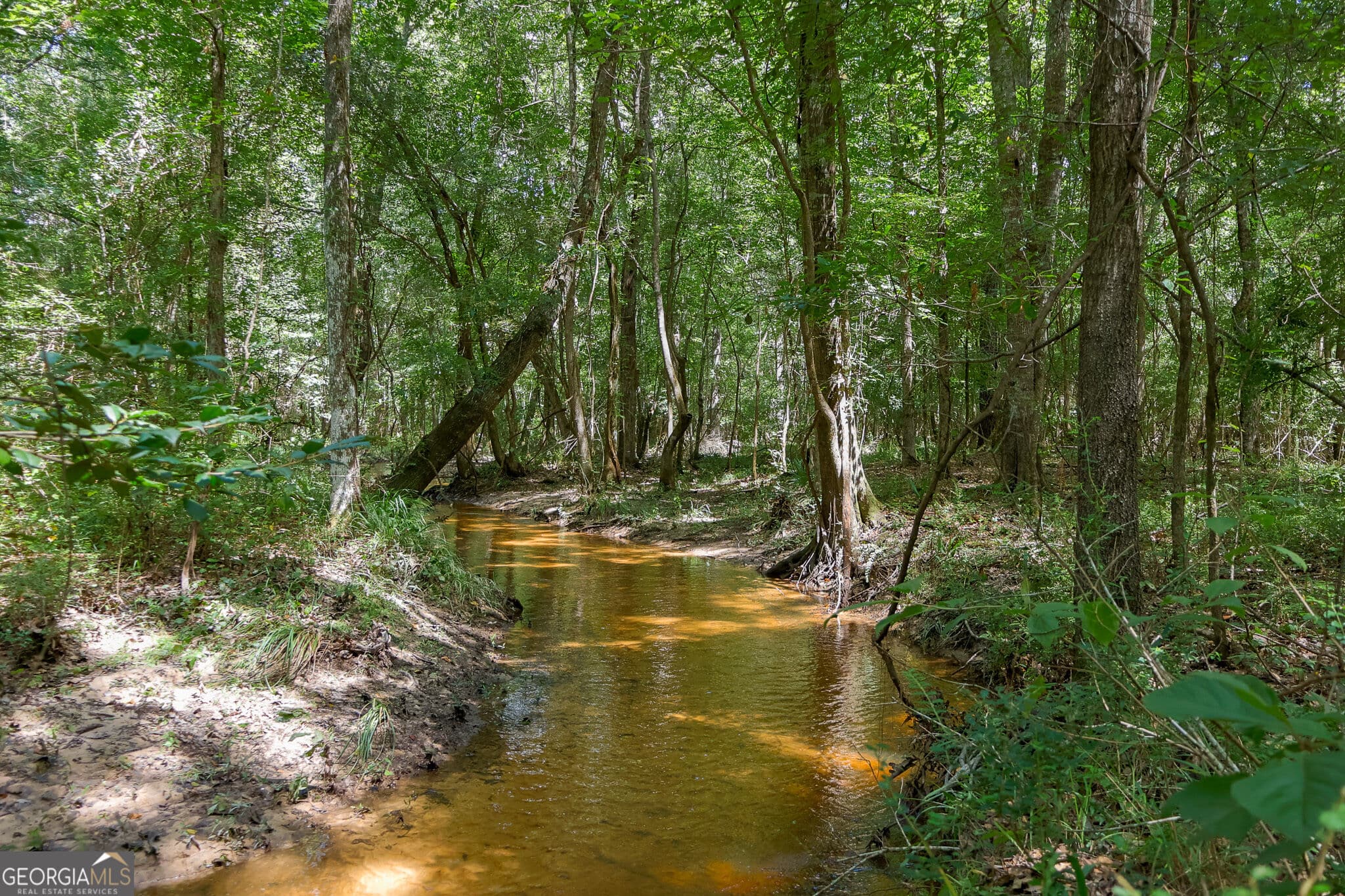 unimproved land for sale at 557 Limestone Road, Cochran, GA 31014 — photo 1 of 40