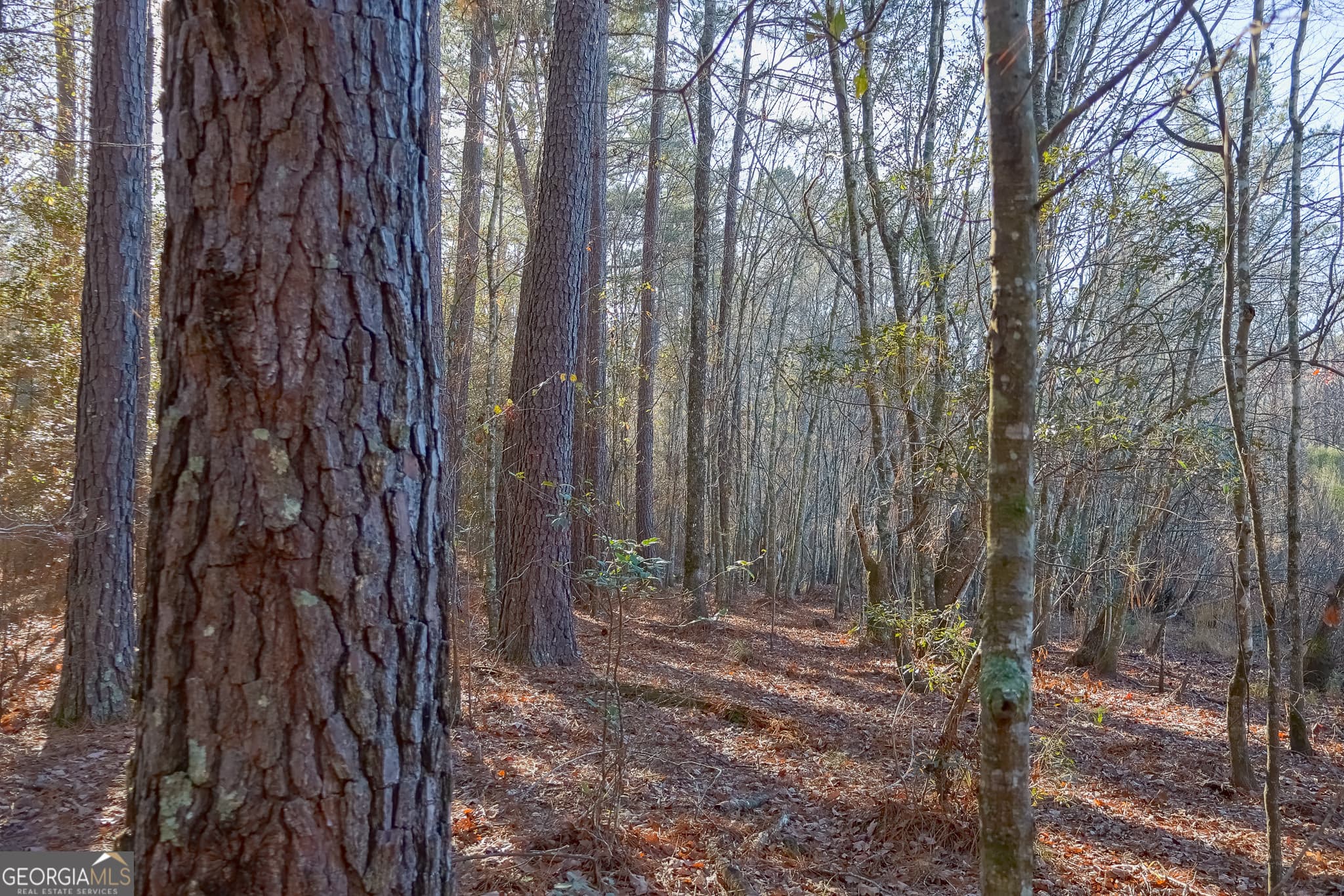 unimproved land for sale at 557 Limestone Road, Cochran, GA 31014 — photo 5
